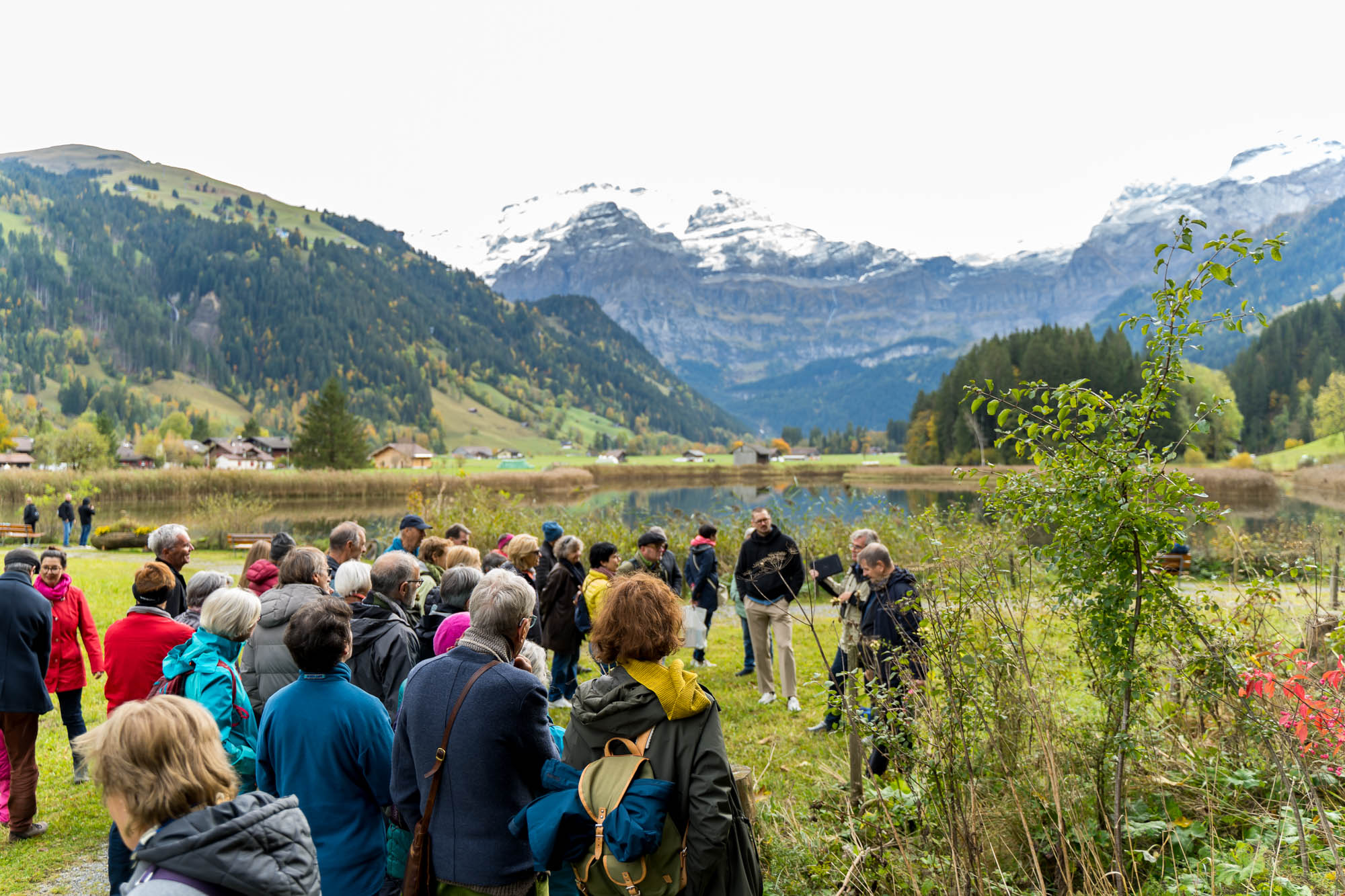 LiteratureLenk-web-dersu.ch-0258.jpg LiteratureLenk-web-dersu.ch-0258.jpg