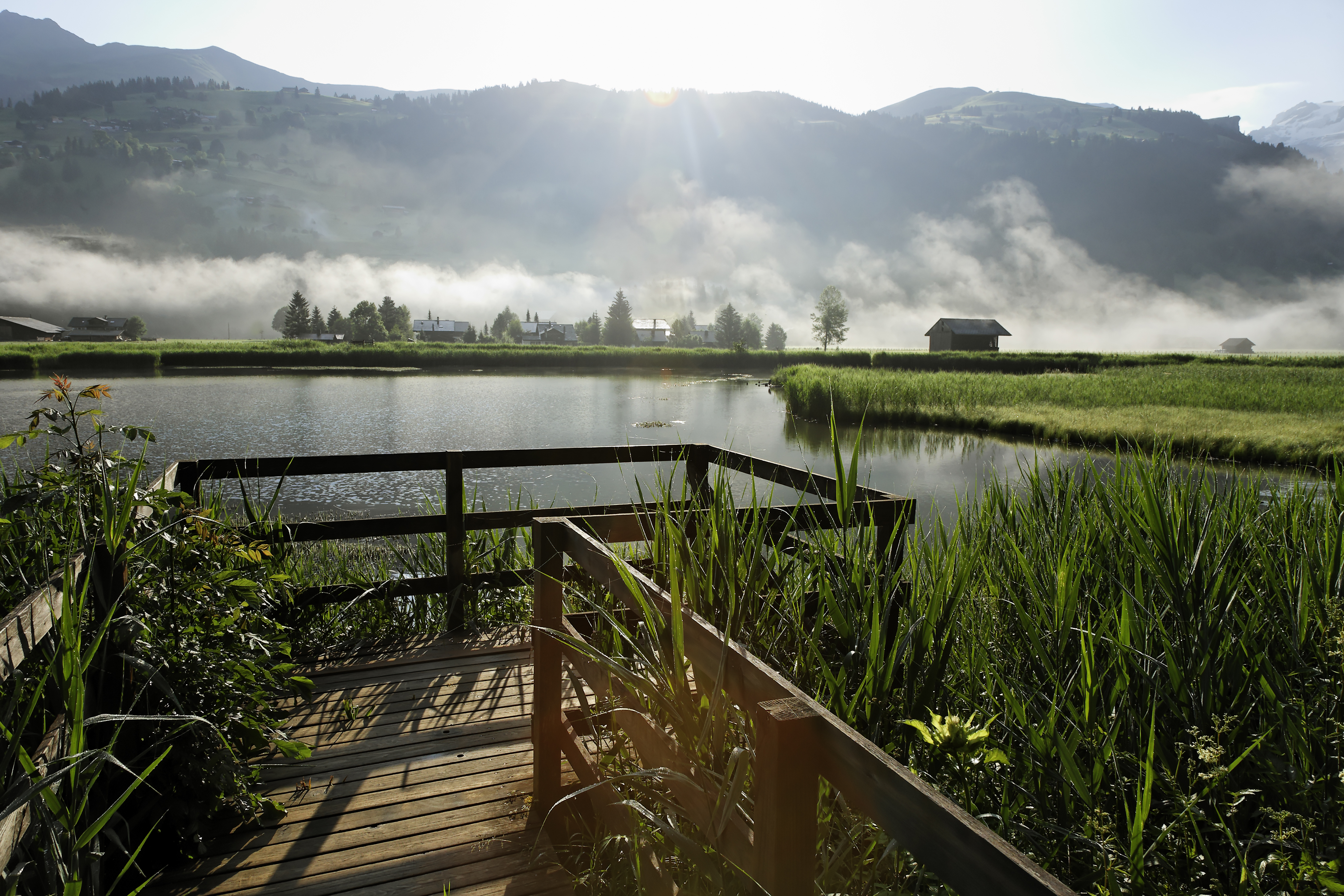 Sommer-Universität Lenk 