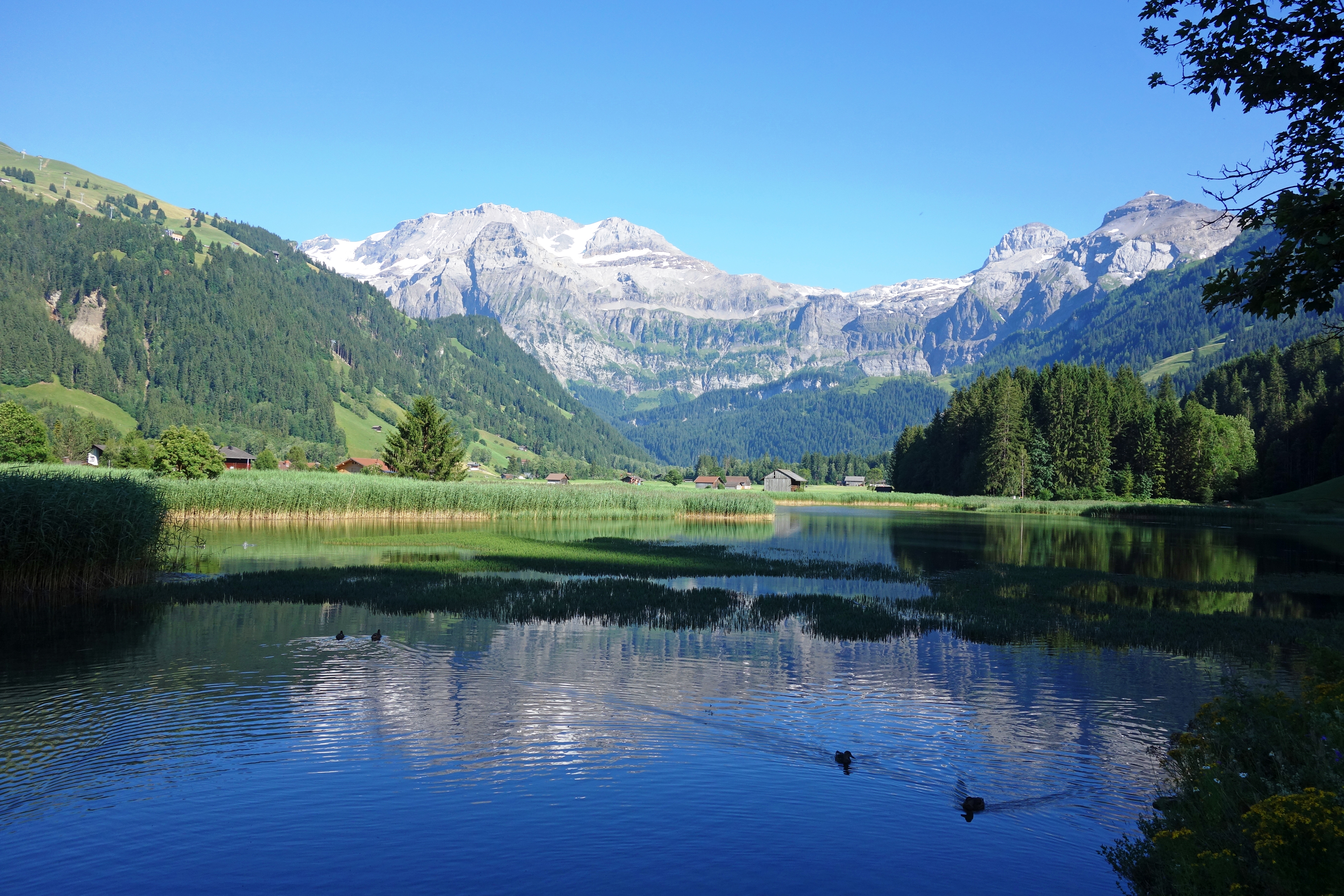 Lenk-Simmental_Lenkersee_Wildstrubelmassiv_Lenk%20Foto_Marianne_Tschanz-Rieder_DSC01127.jpg