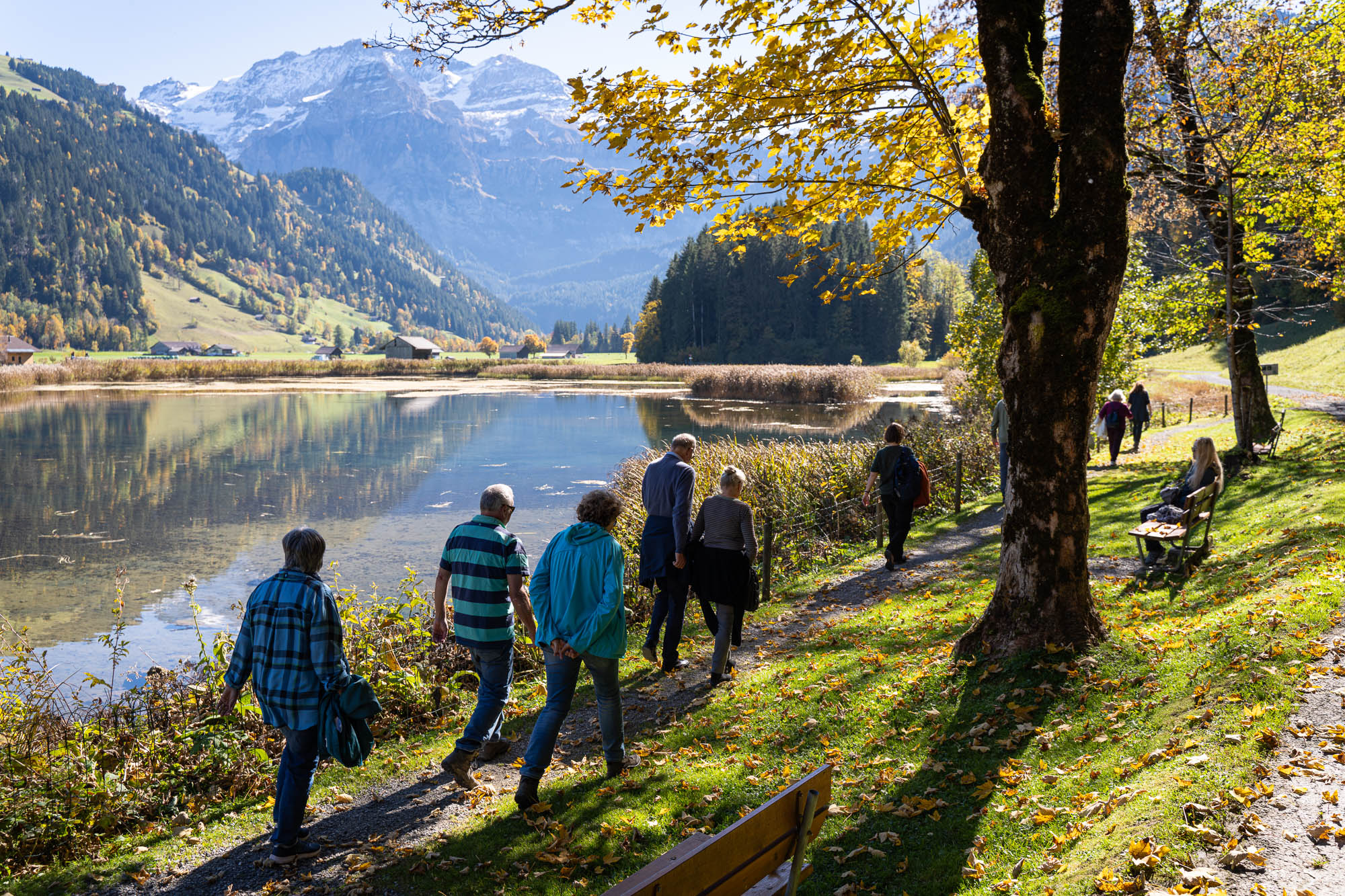 LiteratureLenk-web-dersu.ch-9887.jpg LiteratureLenk-web-dersu.ch-9887.jpg